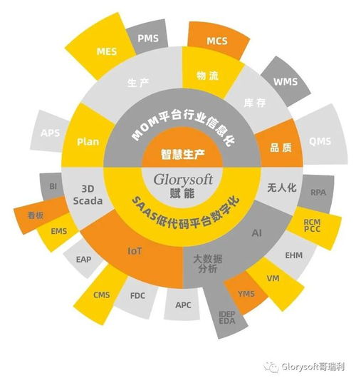 制裁之下 國產軟件的自主突破與創新之路