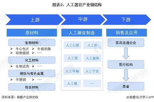 預見2024 中國人工器官行業全景圖譜——市場現狀、競爭格局與發展趨勢解析